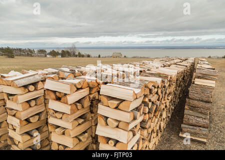 Quattro lunghe pile di tagliare legna da ardere registri e casa di pietra in un campo del St Lawrence River, Ile d'Orleans, Quebec, Canada. Foto Stock