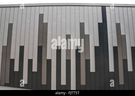 Il nuovissimo stadio Ice Arena Wales della baia di Cardiff marzo 2015 PHILLIP ROBERTS Foto Stock