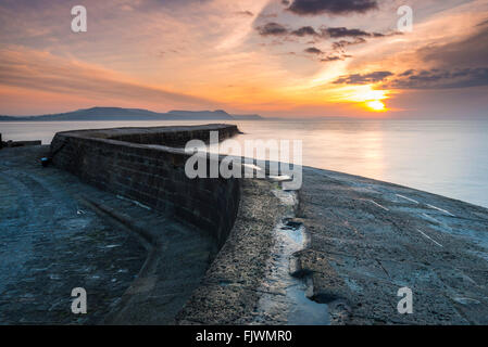 Inverno sunrise visto dallo storico porto di Cobb muro a Lyme Regis nel Dorset. Credito Foto: Graham Hunt/Alamy Foto Stock