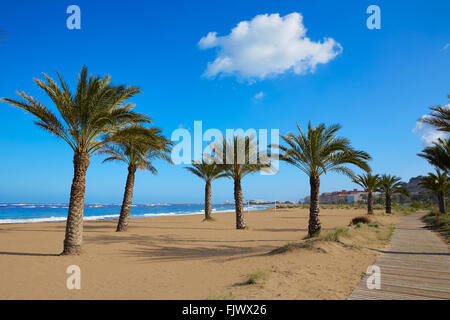 Spiaggia di Denia Las Marinas con palme nel Mediterraneo di Alicante Spagna Foto Stock