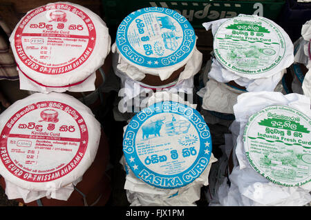 Contenitori di cagliata (yogurt da latte di bufala), Sri Lanka Foto Stock