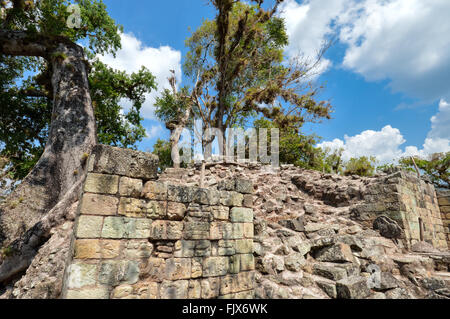 Le strutture e le sculture della parte ovest della corte presso Copan sito archeologico, Honduras Foto Stock