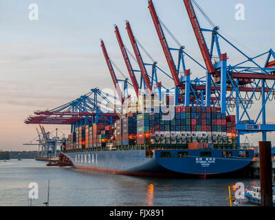 La Nave portacontainer " Hyundai fede' ormeggiato a HHLA Burchardkai terminal di container nel porto di Amburgo Foto Stock