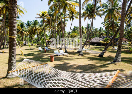 Un amaca in un boschetto di palme Kerala India Foto Stock