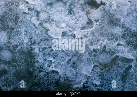 Close-up bolle congelato il pupazzo di neve da basse temperature crea un lacy texture di blu e bianco. Foto Stock