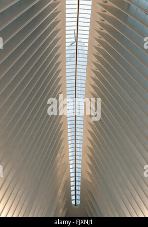 Vista di One World Trade Center (Freedom Tower) attraverso la luce del sole finestre nel tetto dell'occhio del World Trade Center di Trasporto Hub progettato da Santiago Calatrava il giorno dell'apertura. Foto Stock