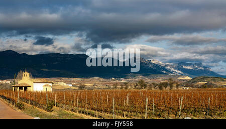 Autunno in vigna. La Rioja, Spagna. Foto Stock