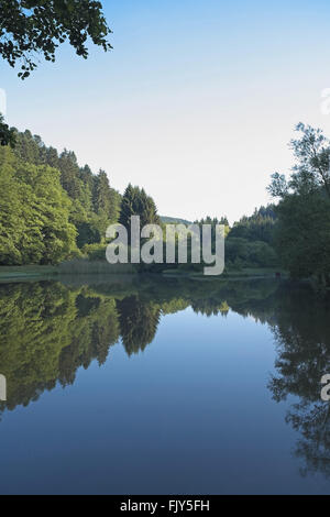 La mattina presto vista sopra il vecchio mulino stagno (del VIEUX MOULIN), graufthal, zinsel valley, Alsazia, Francia. Foto Stock