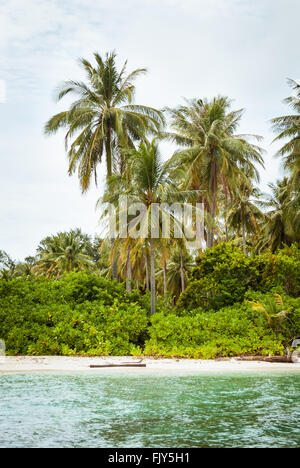 Una spiaggia di sabbia bianca e la vegetazione tropicale sull'isola di Gosong Tengah, Karimunjawa, Indonesia. Foto Stock