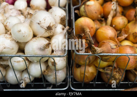 Appena raccolto le cipolle in cesti all'aperto il mercato degli agricoltori Foto Stock