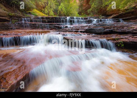 Arcangelo cade sulla sinistra la forcella del North Creek (metropolitana) sentiero, Parco Nazionale Zion, Utah Foto Stock