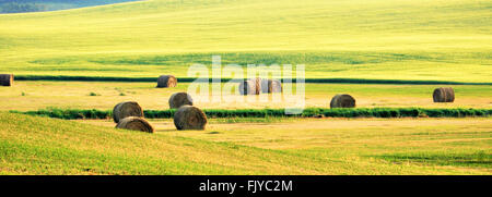 Badlands scene, Alberta, Canada. Foto Stock