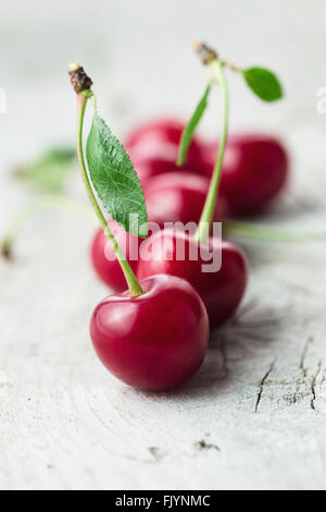 Fresche biologiche di ciliege acide, mature, profondo rosso ciliegia Foto Stock