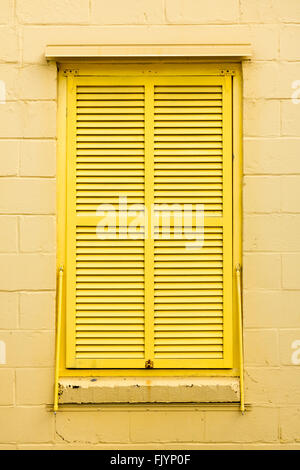 Close-up di otturatore della finestra della casa del cofano station wagon e il museo di Fort Lauderdale, Florida, Stati Uniti d'America Foto Stock