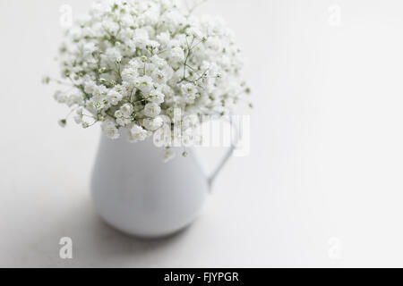 White baby l'alito di fiori (Gypsophila) nel vaso bianco Foto Stock