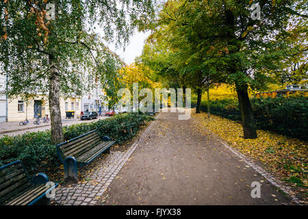 La passerella e Colore di autunno a Helmholtzplatz, in Prenzlauer Berg di Berlino, Germania. Foto Stock