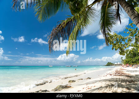 Spiaggia sabbiosa di Bayahibe Repubblica Dominicana, Caraibi, America, Foto Stock