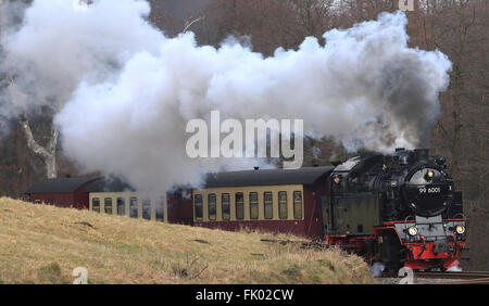 Un treno a vapore di 'Harzer Schmalspurbahn GmbH" (linea a scartamento ridotto Harz, breve HSB) vicino a Gernrode, Germania, 4 marzo 2016. Nell'anno passato, HSB realizzato un fatturato di più di 13 milioni di Euro. Quest'anno, l'azienda celebra il proprio fondamento. Foto: Jens WOLF/dpa Foto Stock