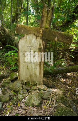 Weathered croce di legno e pietra tomba in piedi in un vecchio cimitero di coloni in una fitta foresta, Jackson Bay, West Coast Foto Stock