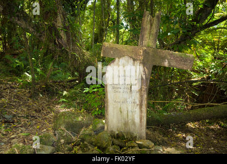 Weathered croce di legno e pietra tomba in piedi in un vecchio cimitero di coloni in una fitta foresta, Jackson Bay, West Coast Foto Stock