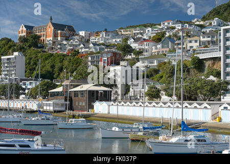 Barche a vela in porto, Oriental Bay dietro, Wellington, Isola del nord, Nuova Zelanda Foto Stock