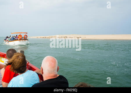 Norfolk, Regno Unito. Un gruppo di turisti a bordo di un piccolo battello seal-watching. Foto Stock