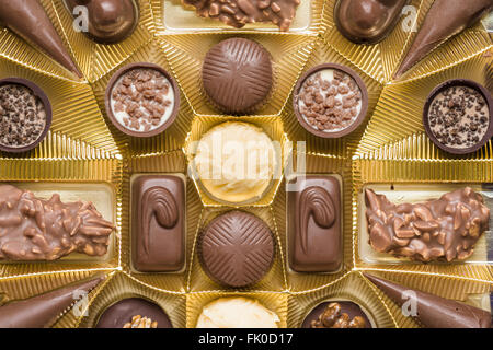 Praline di cioccolato di diversi tipi in una scatola Foto Stock