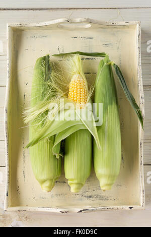 Fresche di tutoli di mais sul vassoio in legno Foto Stock