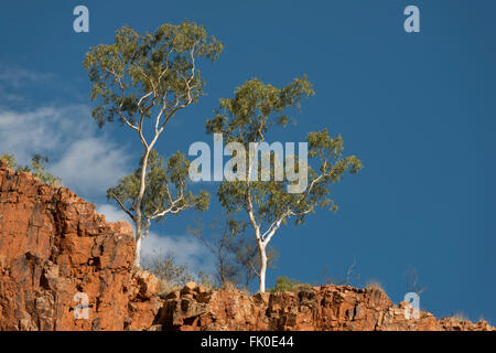 Ormiston Gorge West MacDonnell Ranges Alice Springs Foto Stock