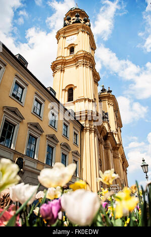 Theatinerkirche (Chiesa Teatini) di Monaco di Baviera con i tulipani Foto Stock