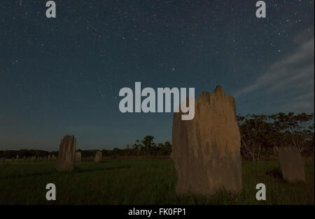 Stelle e il campo magnetico Termite Mounds nel Parco Nazionale di Litchfield. La bussola termite (Amitermes meridionalis e A. laurensis) Foto Stock