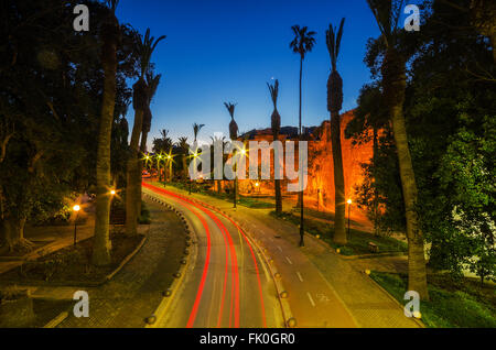 Palm avenue nell isola di Kos Grecia Foto Stock