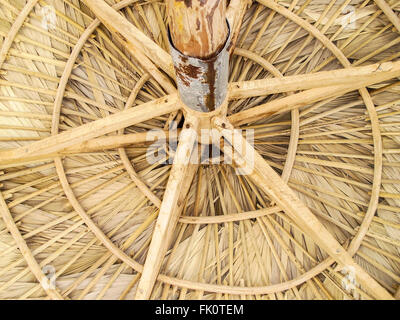 Il tetto di una palapa da sotto Foto Stock