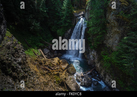 Signora scende in Strathcona Provincial Park, l'isola di Vancouver vicino a Campbell River, British Columbia, Canada Foto Stock