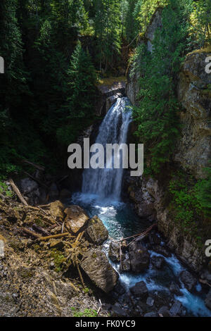 Signora scende in Strathcona Provincial Park, l'isola di Vancouver vicino a Campbell River, British Columbia, Canada Foto Stock