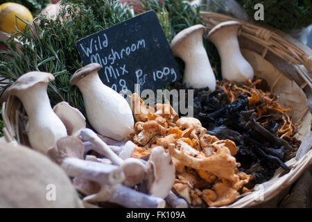 Mix di funghi selvatici sul display per la vendita in un cestello Foto Stock