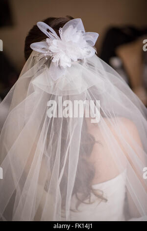 Sposa mettendo sul suo matrimonio velo in preparazione per il suo matrimonio. Foto Stock