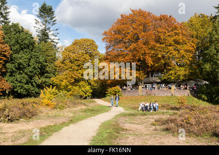 La gente camminare e rilassante nei boschi di Utrechtse Heuvelrug vicino a Doorn in Olanda su una soleggiata Domenica in autunno Foto Stock