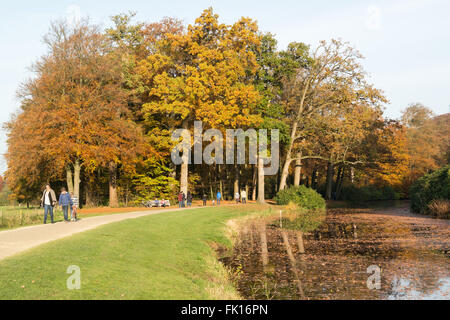 Per coloro che godono di una passeggiata sul sentiero lungo il laghetto in autunno nei boschi vicino a Baarn, Paesi Bassi Foto Stock