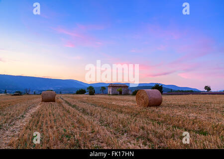 Tramonto sul campo di fattoria con balle di fieno nei pressi di Sault, Provence-France Foto Stock