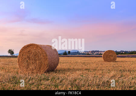 Tramonto sul campo di fattoria con balle di fieno nei pressi di Sault, Provence-France Foto Stock