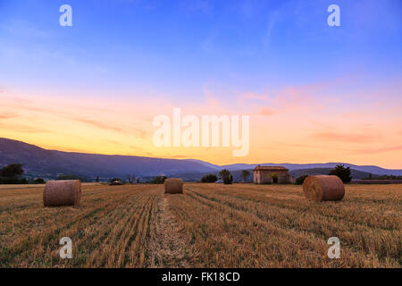 Tramonto sul campo di fattoria con balle di fieno nei pressi di Sault, Provence-France Foto Stock