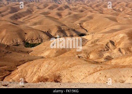 Montuoso della Giudea il paesaggio del deserto vicino a Gerico, Israele Foto Stock