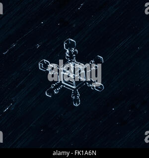 Fiocchi di neve naturale, photo real fiocchi di neve durante una nevicata, in condizioni naturali a bassa temperatura Foto Stock