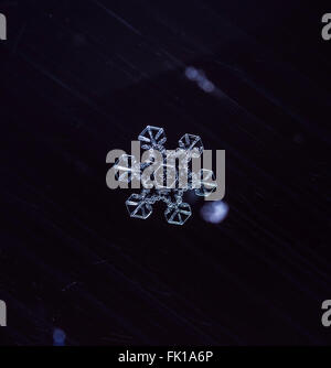 Fiocchi di neve naturale, photo real fiocchi di neve durante una nevicata, in condizioni naturali a bassa temperatura Foto Stock