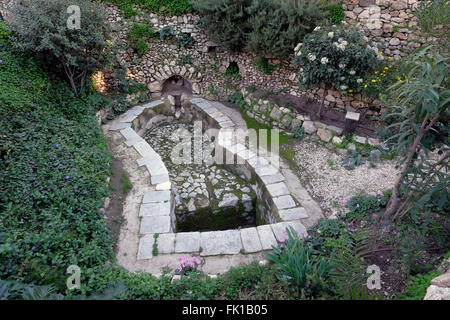 Antica enoteca nel giardino della Tomba del Giardino tagliata da roccia o Calvario di Gordon, che fu rinvenuta nel 1867 ed è considerata da alcuni cristiani, specialmente dagli anglicani evangelici e da altri protestanti, il luogo della sepoltura e della risurrezione di Gesù Cristo . Gerusalemme Est Israele Foto Stock