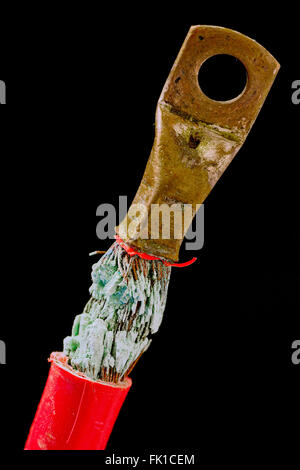 Un gravemente corrosi batteria il cavo terminale da una barca del sistema elettrico Foto Stock