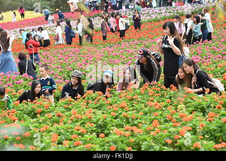 In Guangzhou, la Cina della provincia di Guangdong. Mar 5, 2016. I turisti posano per le foto tra i fiori in un parco in Guangzhou, la capitale del sud della Cina di Provincia di Guangdong, 5 marzo 2016. © Liu Dawei/Xinhua/Alamy Live News Foto Stock