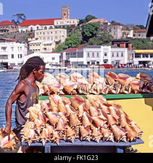 Grenada Caribbean St Georges porto nel mare dei Caraibi commerciante & stalla di mercato che vende conchiglie di conchiglie ai turisti dai liner della nave da crociera Foto Stock