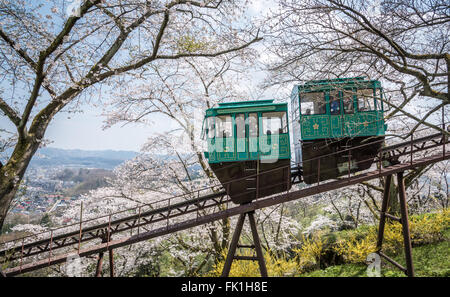 Un pendio vettura fa la sua strada giù per un sentiero dei fiori di ciliegio dalla cima di una collina nel castello Funaoka rovina, MIYAGI,Giappone Foto Stock